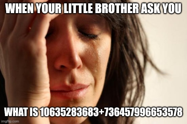 S | WHEN YOUR LITTLE BROTHER ASK YOU; WHAT IS 10635283683+736457996653578 | image tagged in memes,first world problems | made w/ Imgflip meme maker