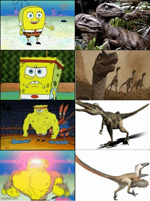 Velociraptor Gets Cool | image tagged in sponge finna commit muder | made w/ Imgflip meme maker