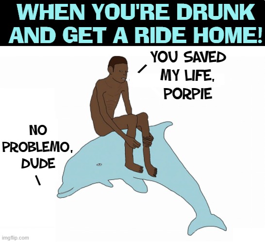 Designated Porpoise | WHEN YOU'RE DRUNK AND GET A RIDE HOME! YOU SAVED
MY LIFE,
PORPIE; /; NO
PROBLEMO,
DUDE
\ | image tagged in vince vance,drunk,dolphins,tipsy,hitching a ride,designated driver | made w/ Imgflip meme maker
