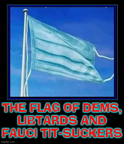 You Should Hide Your Faces... in Shame | THE FLAG OF DEMS,
LIBTARDS AND
FAUCI TIT-SUCKERS | image tagged in vince vance,stolen election,let's go brandon,fjb,memes,masks | made w/ Imgflip meme maker