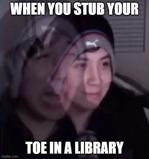 WHEN YOU STUB YOUR; TOE IN A LIBRARY | made w/ Imgflip meme maker