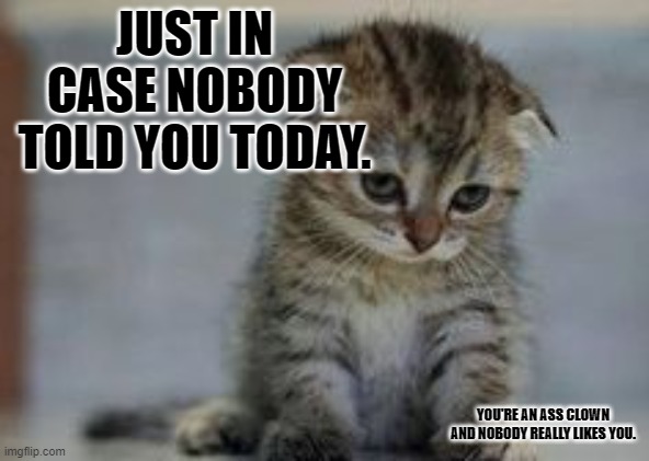 Just In Case Nobody Told You | JUST IN CASE NOBODY TOLD YOU TODAY. YOU'RE AN ASS CLOWN AND NOBODY REALLY LIKES YOU. | image tagged in sad kitten | made w/ Imgflip meme maker