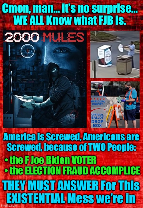 If YOU Approve of the Fraud, Look the other way, or Act like it never happened, YOU are an ACCOMPLICE, no better than the Mules | Cmon, man… it’s no surprise…
WE ALL Know what FJB is. America is Screwed, Americans are
Screwed, because of TWO People:; • the F Joe Biden VOTER
• the ELECTION FRAUD ACCOMPLICE; THEY MUST ANSWER For This
EXISTENTIAL Mess we’re in | image tagged in memes,you are the reason america is in this shitstorm,yiu must answer for this,can you sleep at night,fix it now or burn in hell | made w/ Imgflip meme maker