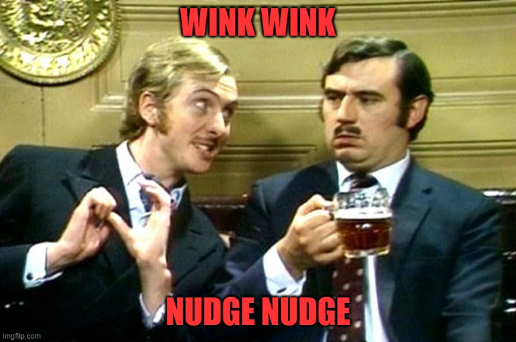 wink wink | WINK WINK NUDGE NUDGE | image tagged in wink wink | made w/ Imgflip meme maker