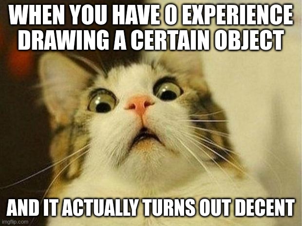 i'm drawing plants, i have no experience on drawing them. it's not that bad tbh | WHEN YOU HAVE 0 EXPERIENCE DRAWING A CERTAIN OBJECT; AND IT ACTUALLY TURNS OUT DECENT | image tagged in memes,scared cat | made w/ Imgflip meme maker