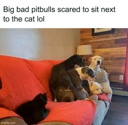 image tagged in funny memes | made w/ Imgflip meme maker