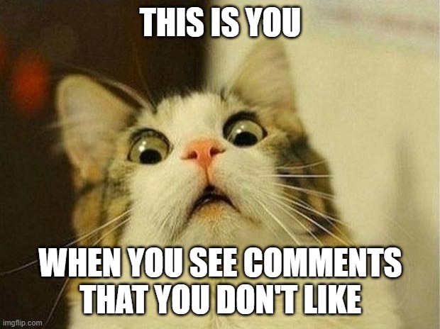 Scared Cat Meme | THIS IS YOU WHEN YOU SEE COMMENTS THAT YOU DON'T LIKE | image tagged in memes,scared cat | made w/ Imgflip meme maker