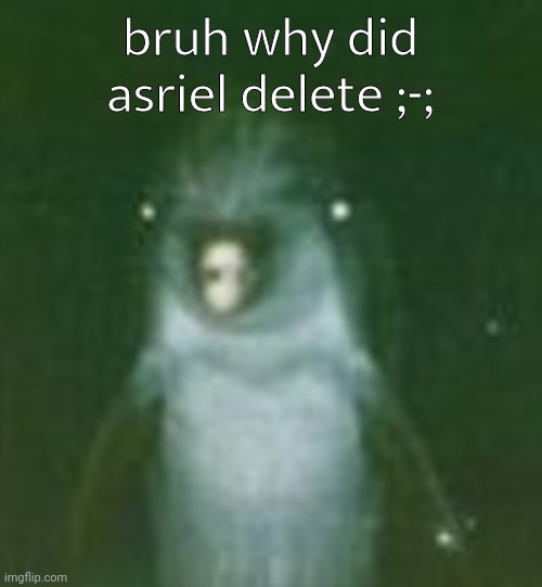 he | bruh why did asriel delete ;-; | image tagged in he | made w/ Imgflip meme maker