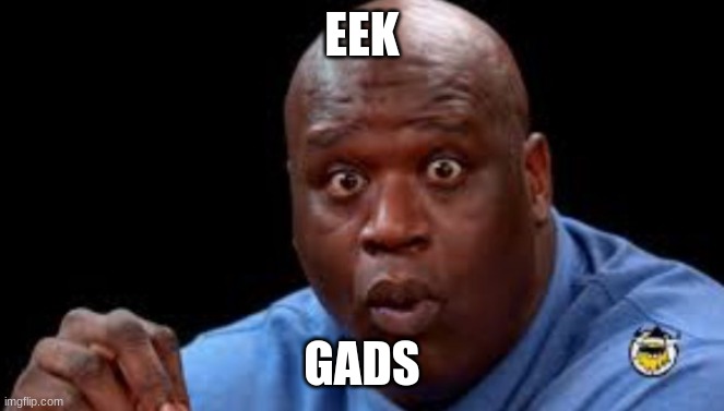 Black Guy Surprised | EEK GADS | image tagged in black guy surprised | made w/ Imgflip meme maker