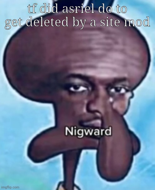 nigward | tf did asriel do to get deleted by a site mod | image tagged in nigward | made w/ Imgflip meme maker