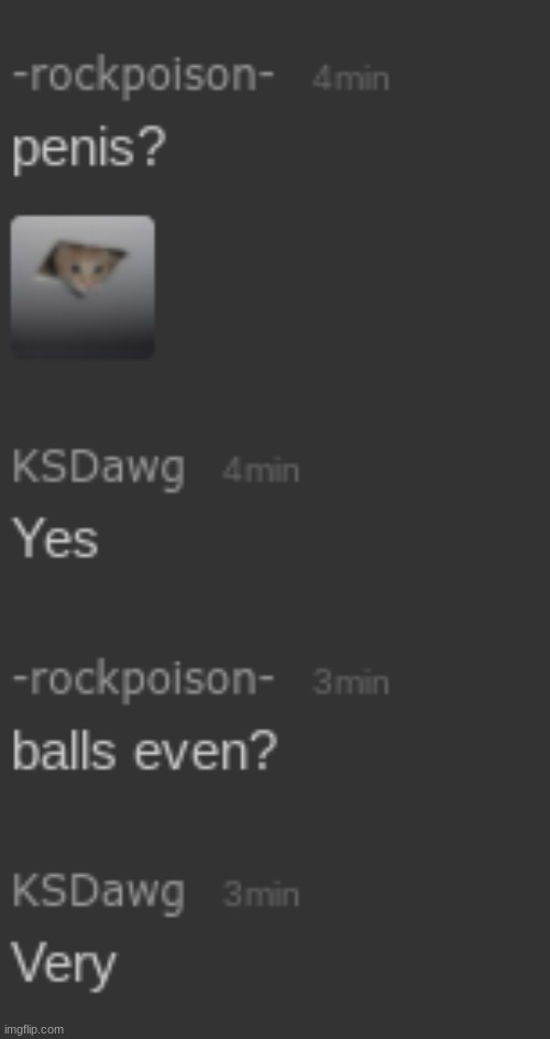dming followers random things | made w/ Imgflip meme maker