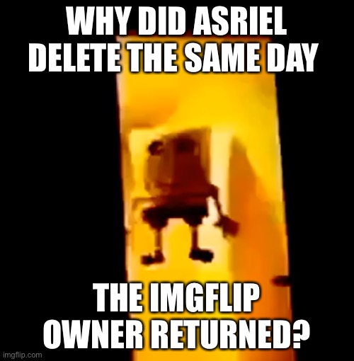 Yes | WHY DID ASRIEL DELETE THE SAME DAY; THE IMGFLIP OWNER RETURNED? | image tagged in ser donald | made w/ Imgflip meme maker