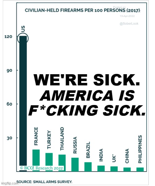 WE'RE SICK. AMERICA IS F*CKING SICK. | image tagged in gun,madness,sickness,crazy | made w/ Imgflip meme maker