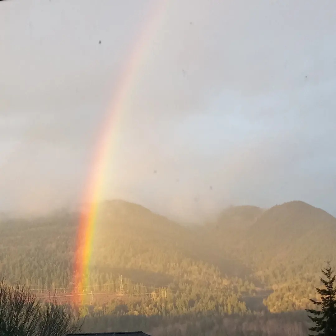 High Quality Rainbow over Lake Whatcom ❤ Blank Meme Template