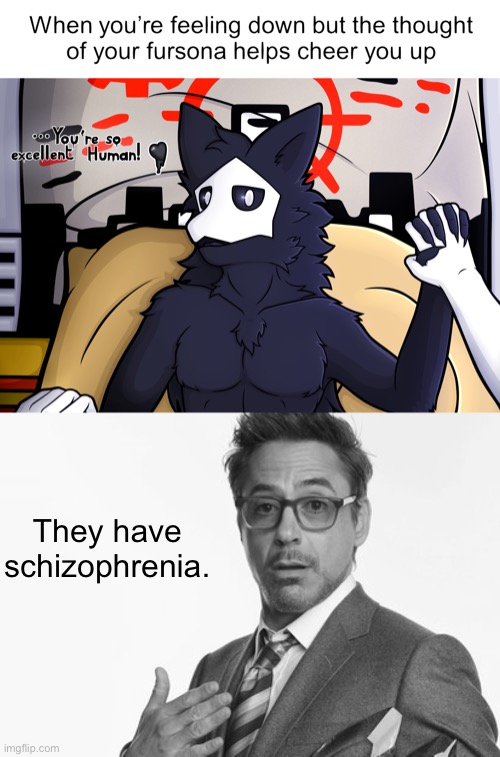 They have schizophrenia. | image tagged in robert downey jr's comments | made w/ Imgflip meme maker