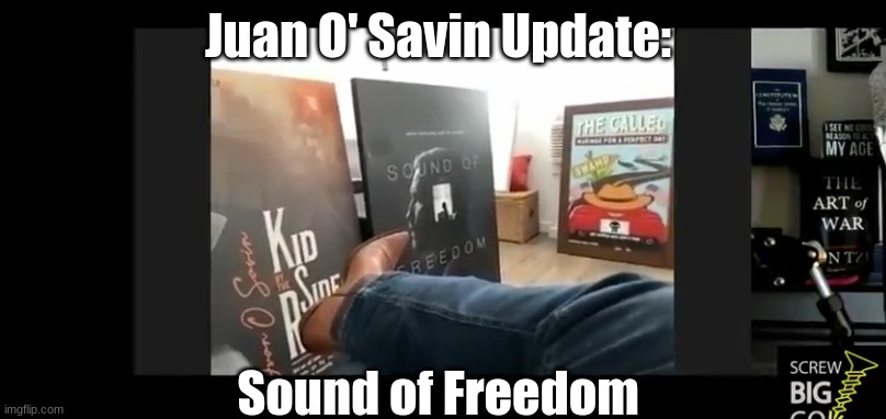 Juan O' Savin Update: Sound of Freedom  (Video)