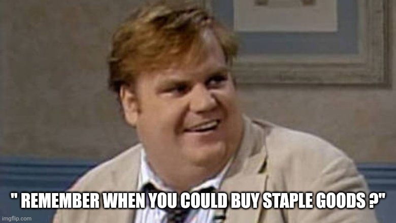 You Remember That Time | " REMEMBER WHEN YOU COULD BUY STAPLE GOODS ?" | image tagged in you remember that time | made w/ Imgflip meme maker