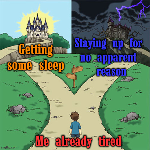 I usually take the right path (that_bi_dude: same here) | Staying up for 
no apparent 
reason; Getting some sleep; Me already tired | image tagged in two paths | made w/ Imgflip meme maker