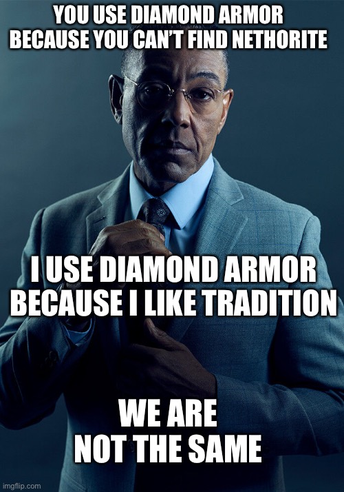 Gus Fring we are not the same | YOU USE DIAMOND ARMOR BECAUSE YOU CAN’T FIND NETHORITE; I USE DIAMOND ARMOR BECAUSE I LIKE TRADITION; WE ARE NOT THE SAME | image tagged in gus fring we are not the same | made w/ Imgflip meme maker