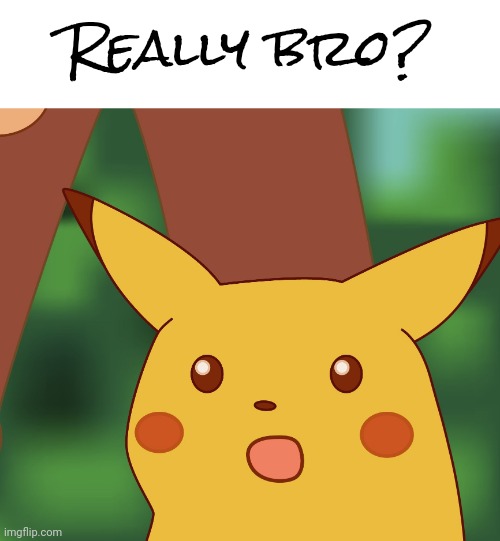 Surprised pikachu hd | Really bro? | image tagged in surprised pikachu hd | made w/ Imgflip meme maker
