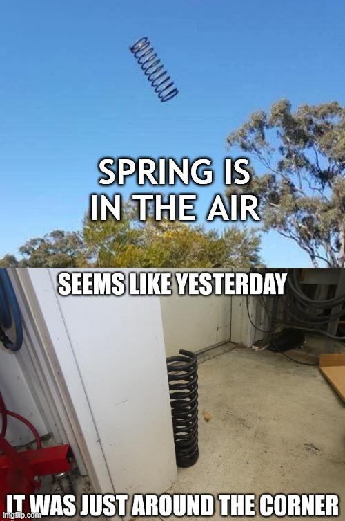 spring? | image tagged in memes | made w/ Imgflip meme maker
