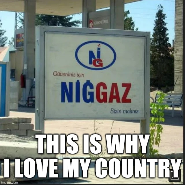 ITS DA T U R K E Y | THIS IS WHY I LOVE MY COUNTRY | image tagged in racial slur,the n word,mariothememer | made w/ Imgflip meme maker