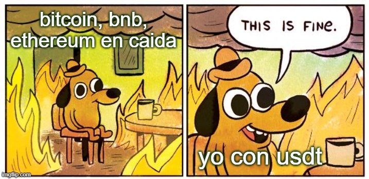 This Is Fine Meme | bitcoin, bnb, ethereum en caida; yo con usdt | image tagged in memes,this is fine | made w/ Imgflip meme maker