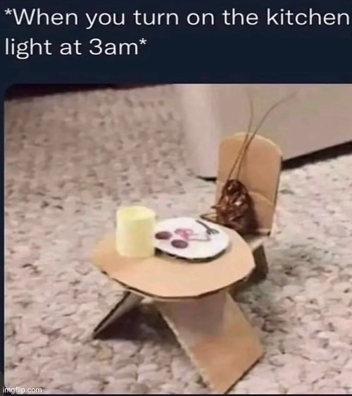 Let the cockroach eat | image tagged in hmmmmmmm,3am,cockroach | made w/ Imgflip meme maker