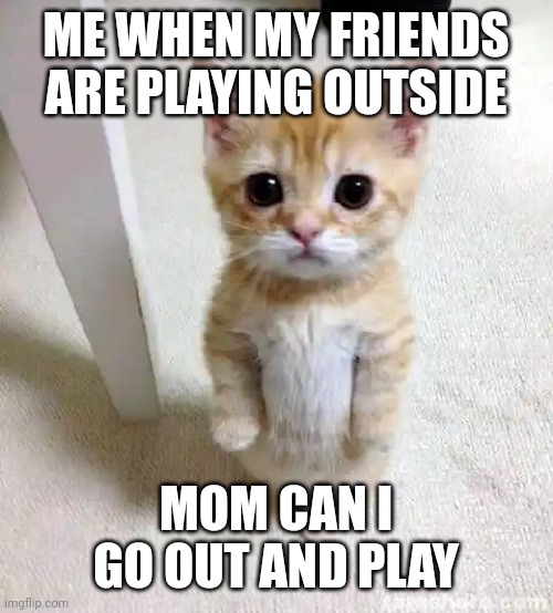 Cute Cat Meme | ME WHEN MY FRIENDS ARE PLAYING OUTSIDE; MOM CAN I GO OUT AND PLAY | image tagged in memes,cute cat,cat,play,sympathy,pathetic | made w/ Imgflip meme maker