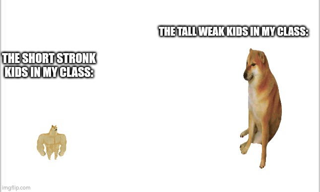 Short amd stronk or tall and weak? | THE TALL WEAK KIDS IN MY CLASS:; THE SHORT STRONK KIDS IN MY CLASS: | image tagged in white background | made w/ Imgflip meme maker