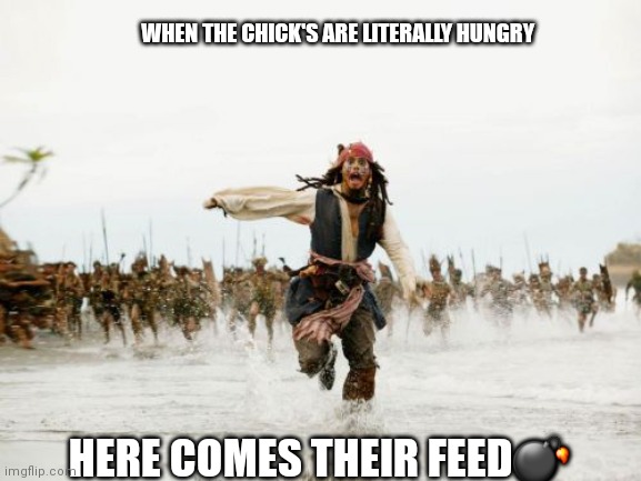 Jack Sparrow Being Chased | WHEN THE CHICK'S ARE LITERALLY HUNGRY; HERE COMES THEIR FEED💣 | image tagged in memes,jack sparrow being chased | made w/ Imgflip meme maker