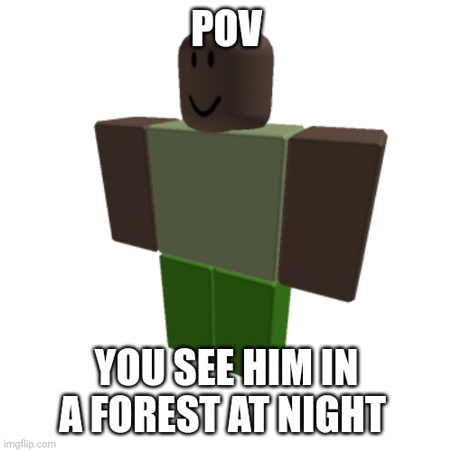 Roblox oc | POV; YOU SEE HIM IN A FOREST AT NIGHT | image tagged in roblox oc | made w/ Imgflip meme maker