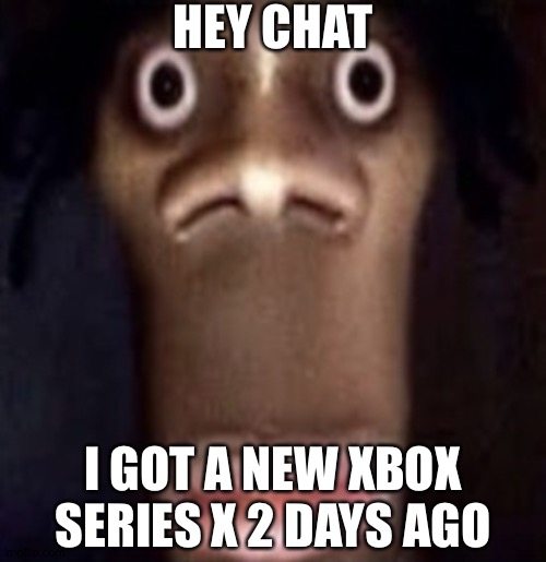 Quandale dingle | HEY CHAT; I GOT A NEW XBOX SERIES X 2 DAYS AGO | image tagged in quandale dingle | made w/ Imgflip meme maker