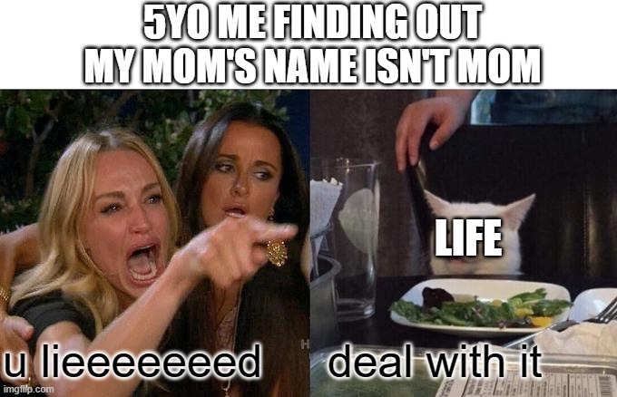 5yo me | 5YO ME FINDING OUT MY MOM'S NAME ISN'T MOM; LIFE; u lieeeeeeed; deal with it | image tagged in memes,woman yelling at cat | made w/ Imgflip meme maker