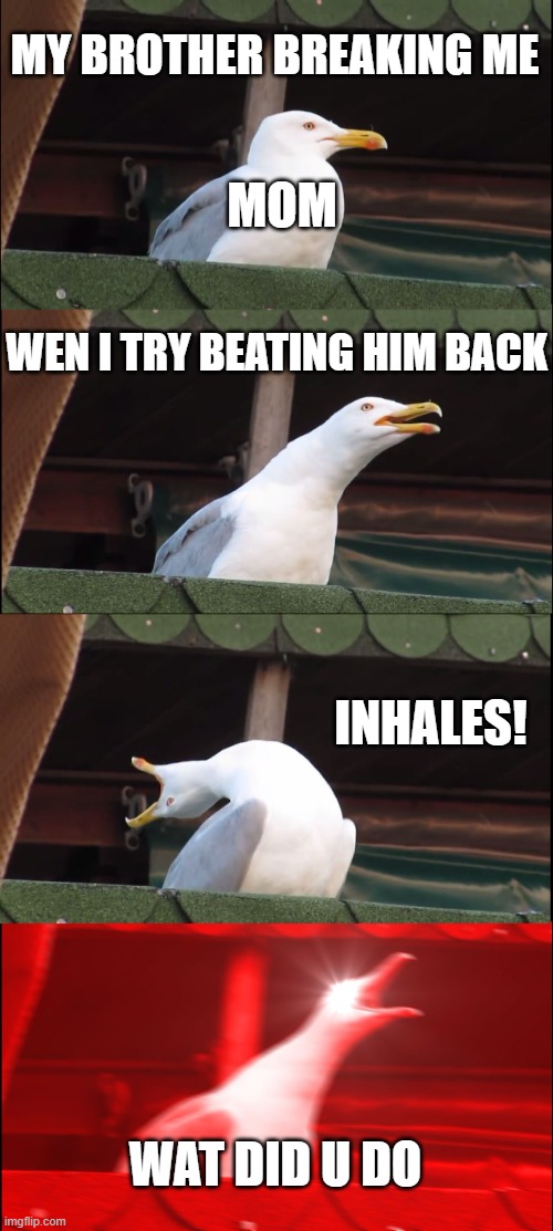 me always at home | MY BROTHER BREAKING ME; MOM; WEN I TRY BEATING HIM BACK; INHALES! WAT DID U DO | image tagged in memes,inhaling seagull | made w/ Imgflip meme maker