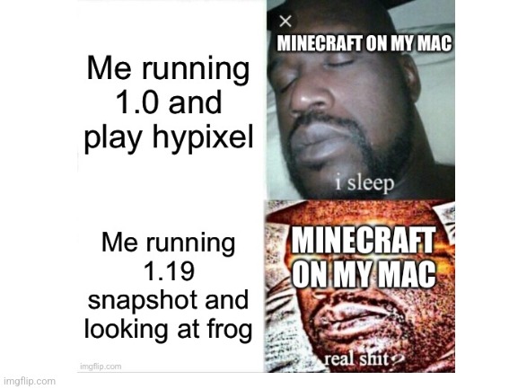idk | image tagged in minecraft,hypixel,frog,mac | made w/ Imgflip meme maker