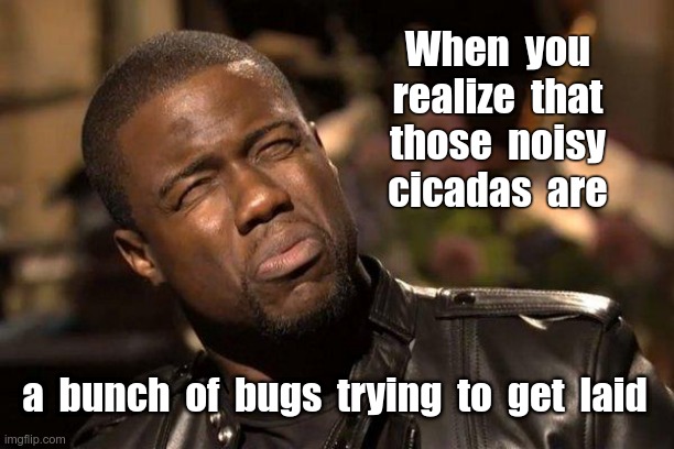 What really bugs me. | When  you
realize  that
those  noisy
cicadas  are; a  bunch  of  bugs  trying  to  get  laid | image tagged in kevin hart,bugs,rick75230 | made w/ Imgflip meme maker