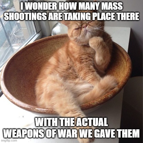 Wondering cat | I WONDER HOW MANY MASS SHOOTINGS ARE TAKING PLACE THERE WITH THE ACTUAL WEAPONS OF WAR WE GAVE THEM | image tagged in wondering cat | made w/ Imgflip meme maker