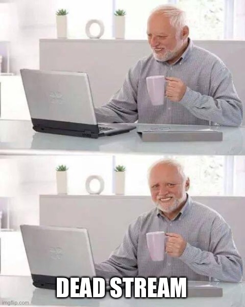 Hide the Pain Harold Meme | DEAD STREAM | image tagged in memes,hide the pain harold | made w/ Imgflip meme maker