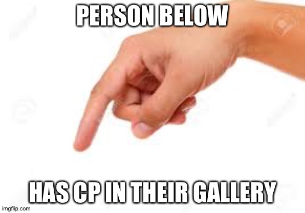 the person below | PERSON BELOW; HAS CP IN THEIR GALLERY | image tagged in the person below | made w/ Imgflip meme maker