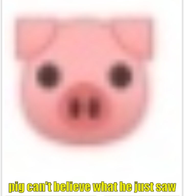 High Quality pig can't believe what he just saw Blank Meme Template