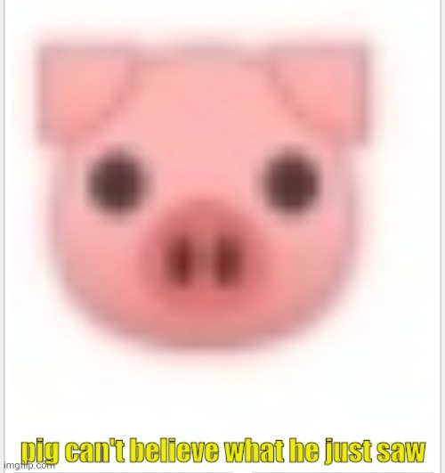 Pig can't believe what he just saw | image tagged in pig can't believe what he just saw,pig,pigs | made w/ Imgflip meme maker