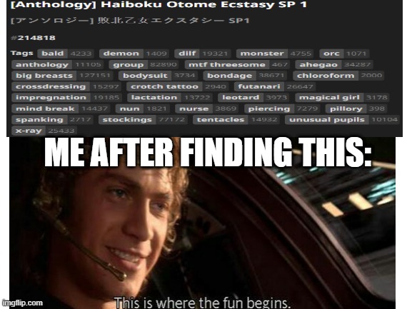 Me after finding perfect tagged material | ME AFTER FINDING THIS: | image tagged in this is where the fun begins,sauce,hentai_safe | made w/ Imgflip meme maker