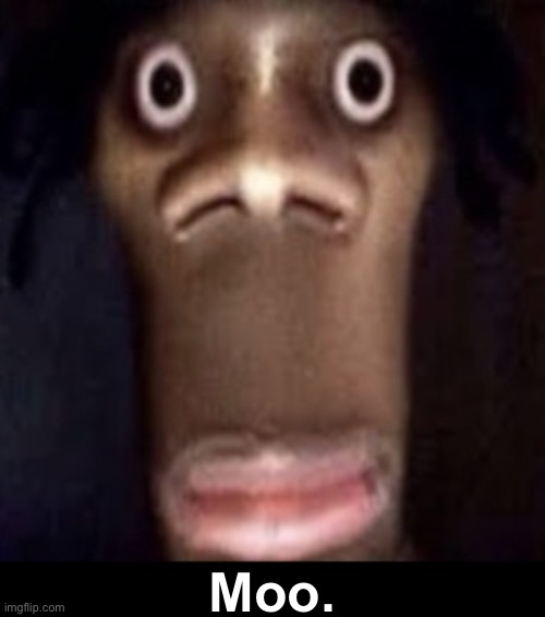 The person who uploaded this (ME) Is a RACIST! | Moo. | image tagged in i hate myself,i am racist,i am a zoophile lol | made w/ Imgflip meme maker