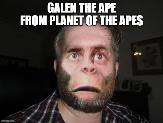 Andrew the Apeman | GALEN THE APE FROM PLANET OF THE APES | image tagged in andrew the apeman | made w/ Imgflip meme maker