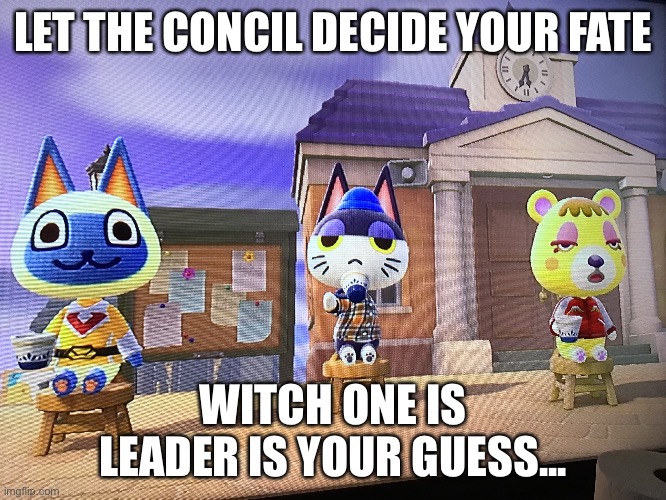 Let the Concil Decide Your Fate | LET THE CONCIL DECIDE YOUR FATE; WITCH ONE IS LEADER IS YOUR GUESS... | image tagged in funny,animalcrossing,meme | made w/ Imgflip meme maker