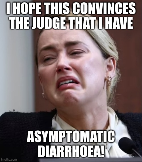 Turd | I HOPE THIS CONVINCES THE JUDGE THAT I HAVE; ASYMPTOMATIC DIARRHOEA! | image tagged in turd | made w/ Imgflip meme maker