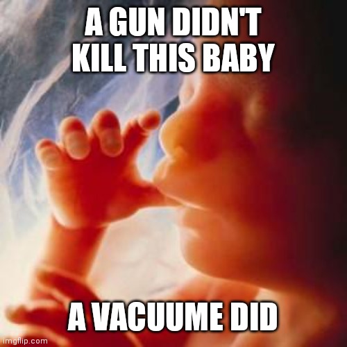 Since we are blaming Inanimate Objects | A GUN DIDN'T KILL THIS BABY; A VACUUME DID | image tagged in fetus,hammer,high heels,knives,cannon,some lives don't matter | made w/ Imgflip meme maker