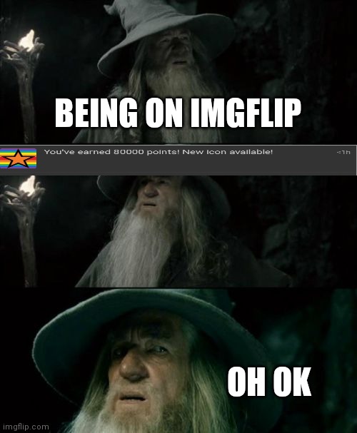 Confused Gandalf Meme | BEING ON IMGFLIP; OH OK | image tagged in memes,confused gandalf | made w/ Imgflip meme maker