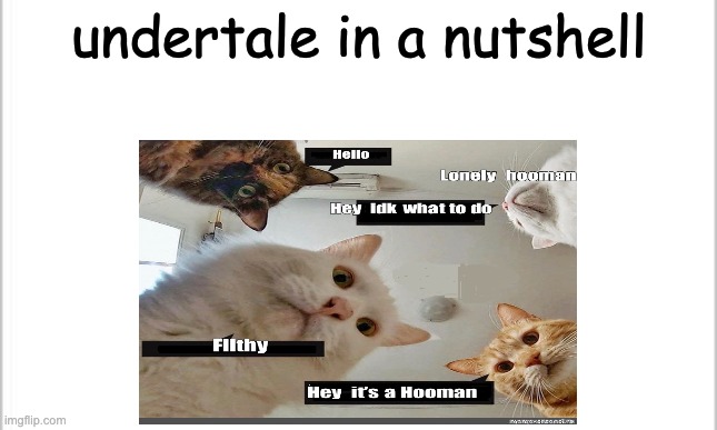Undertale in a Nutshell | undertale in a nutshell | image tagged in undertale,lmao,cats | made w/ Imgflip meme maker